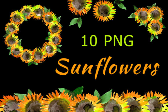 Download Sunflowers - Flowers Collection