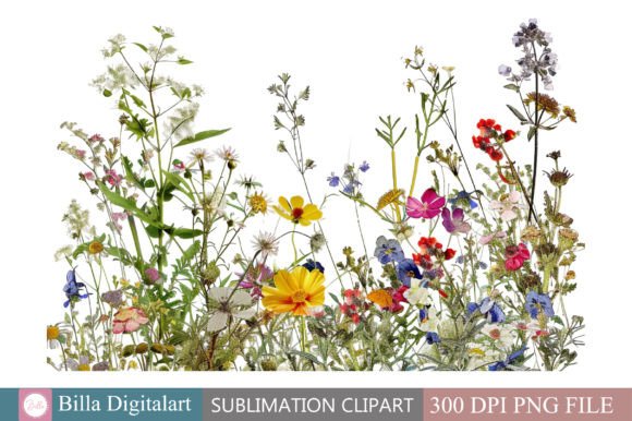 Download Free Wild Flowers Floral Border Clipart - Flowers Collection