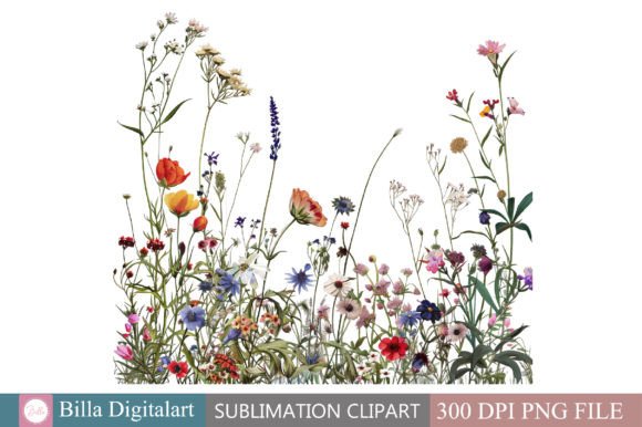 Download Free Wild Flowers Floral Border Clipart - Flowers Collection